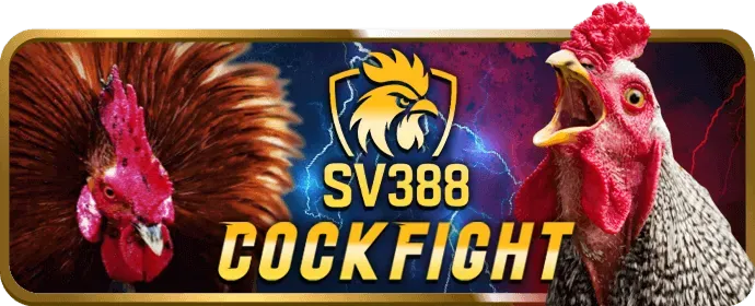 Trải nghiệm casino trực tuyến W88club với người chia bài thật